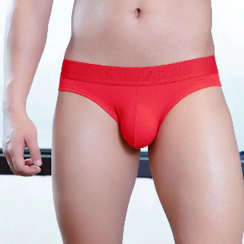 Modal Low Waist Briefs For Men Beyond Trends Hub