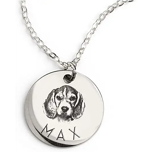 Personalized Pet Photo Disc Necklace Ladies Kitten Name Pendant Necklace Custom Animal Stainless Steel Necklace Jewelry Beyond Trends Hub