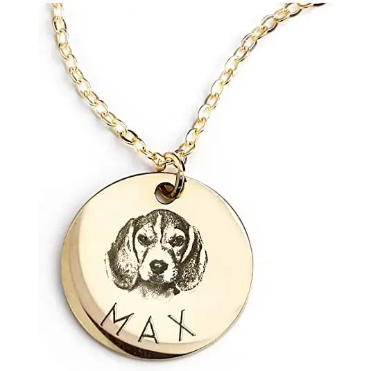 Personalized Pet Photo Disc Necklace Ladies Kitten Name Pendant Necklace Custom Animal Stainless Steel Necklace Jewelry Beyond Trends Hub