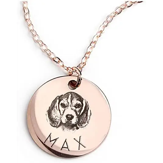 Personalized Pet Photo Disc Necklace Ladies Kitten Name Pendant Necklace Custom Animal Stainless Steel Necklace Jewelry Beyond Trends Hub