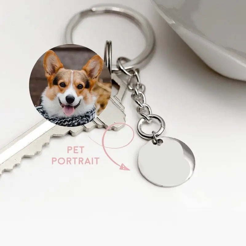 Personalized Pet Photo Disc Necklace Ladies Kitten Name Pendant Necklace Custom Animal Stainless Steel Necklace Jewelry Beyond Trends Hub
