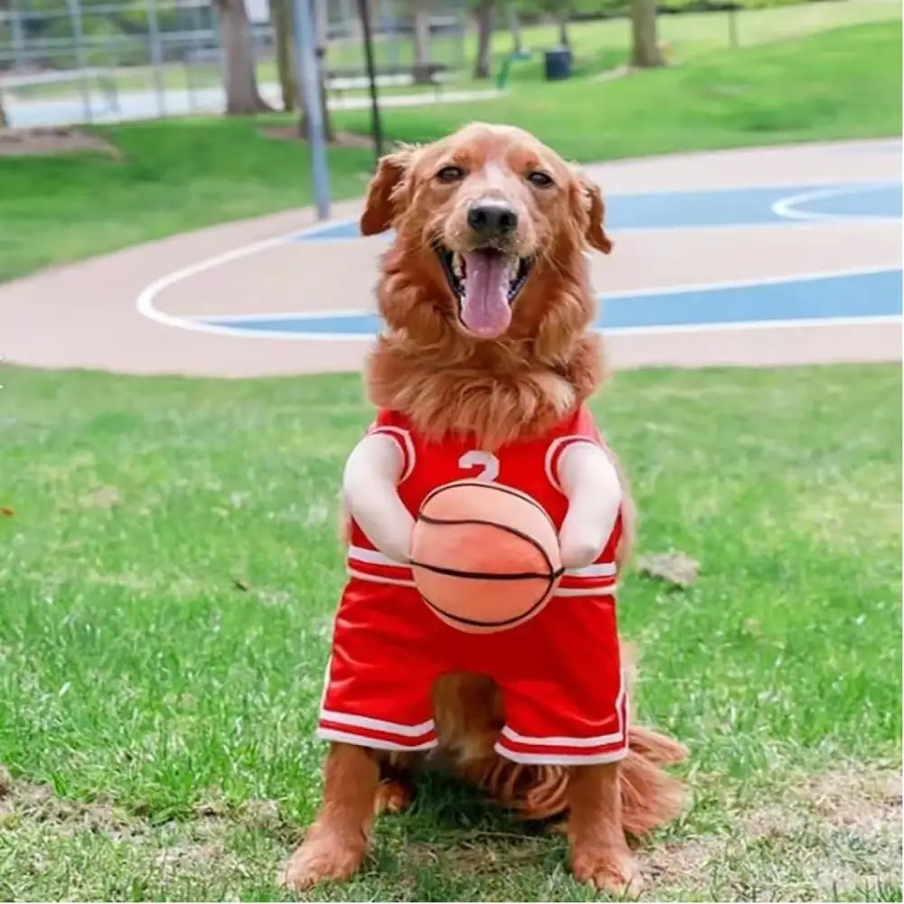Pet Costumes Dog Basketball Player Costume Halloween Costumes For Dogs Funny Dress Up Sports Outfit Cosplay Clothes
