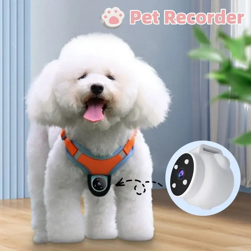 Pets Recorder Pet Tracker Collar Dogs And Cats Viewing Angle Motion Recording Camera Action Camera With Video Records Cat Collars Camera Sport Pet Products Beyond Trends Hub