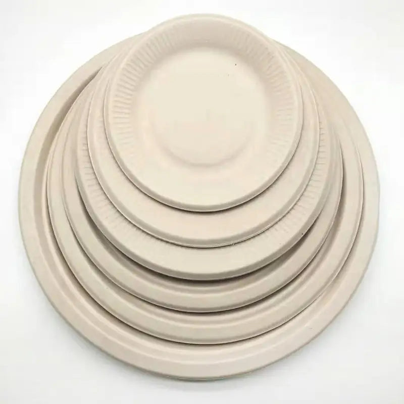 Pure pulp disposable paper plates - Beyond Trends Hub 