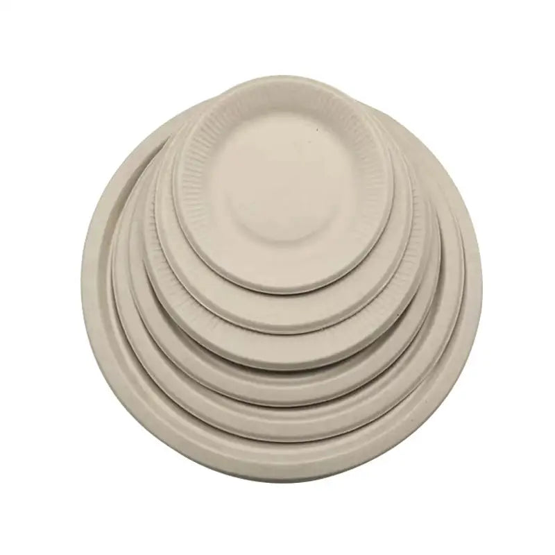 Pure pulp disposable paper plates - Beyond Trends Hub 