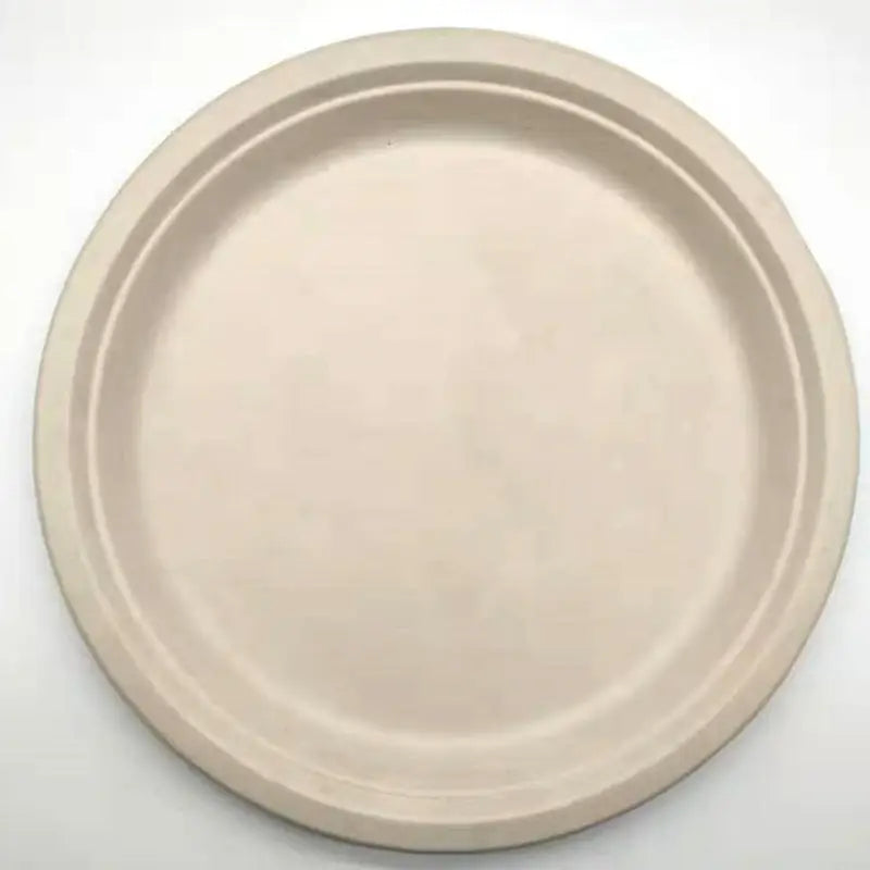 Pure pulp disposable paper plates - Beyond Trends Hub 