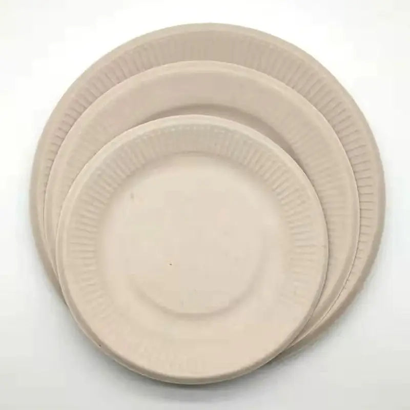Pure pulp disposable paper plates - Beyond Trends Hub 