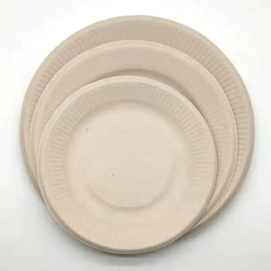 Pure pulp disposable paper plates - Beyond Trends Hub 