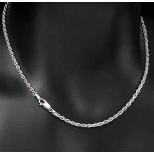 S925   Sterling Silver Plated Fried Dough Twists Chain Necklace For Men And Women Beyond Trends Hub