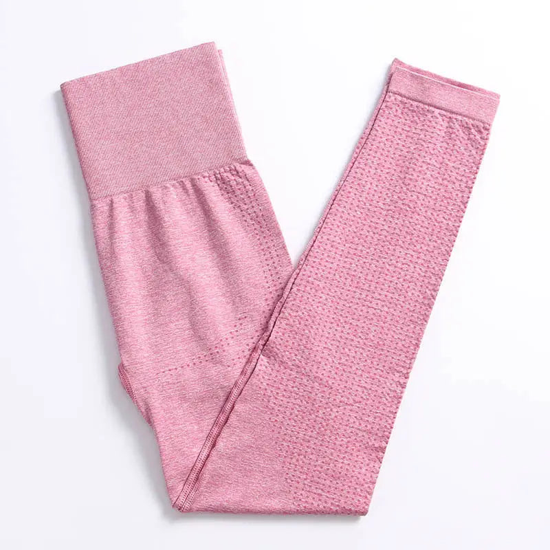 Seamless Knitted Yoga Clothes Women - Beyond Trends Hub 