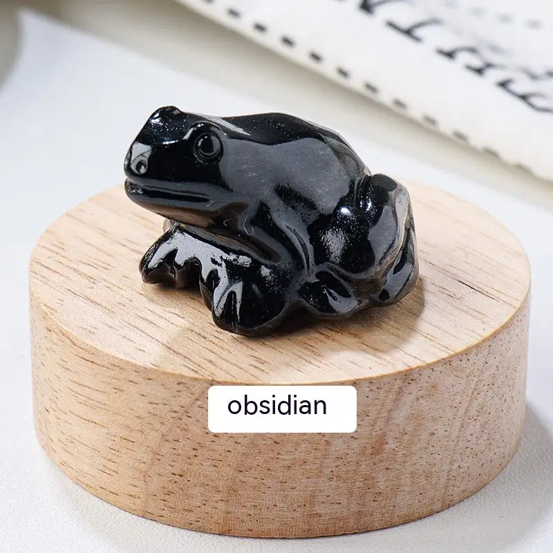 Specimen Popular Science Ornament Children's Gifts Beyond Trends Hub