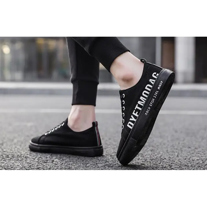 Spring canvas shoes for men - Black / 41