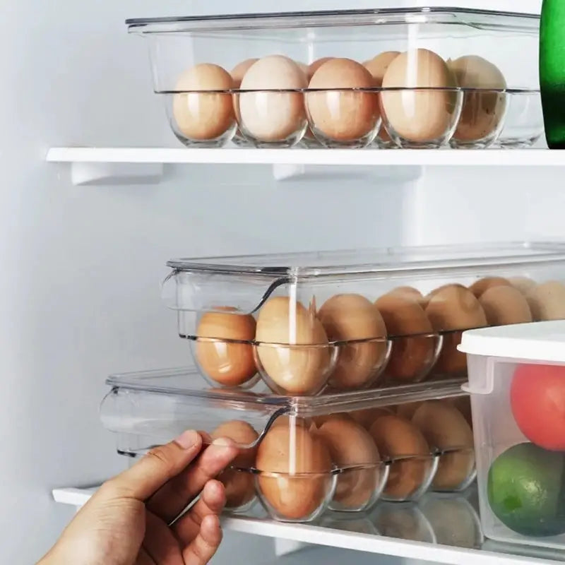 Transparent 21 Grids Refrigerator Egg Holder Box With Lid Kitchen Freshness Separated Storage Food Savers Tray Egg Beyond Trends Hub