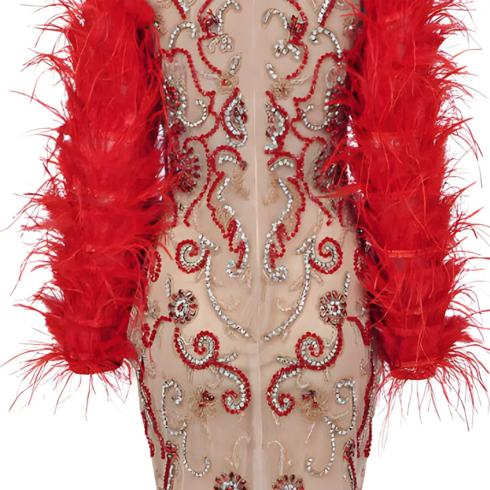 Women Red Feather Long Sleeve Mesh Rhinestone Dress