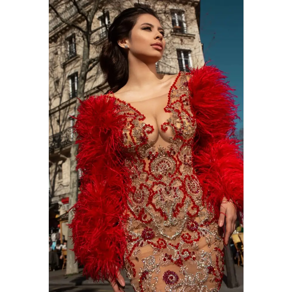 Women Red Feather Long Sleeve Mesh Rhinestone Dress